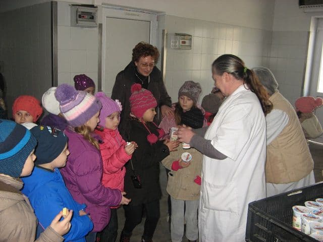 Excursie tematică - activitate în cadrul Săptămânii „Şcoala Altfel” la Şcoala „M. Kogălniceanu” Dorohoi - FOTO