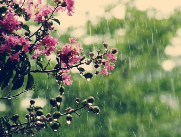 Vești proaste de la meteorologi: De astăzi vremea se schimbă
