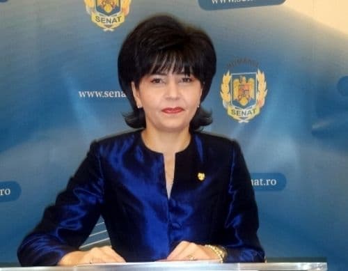 Senatorul Doina Federovici: Reprezentantul elevilor în consiliul de administraţie va avea drept de vot