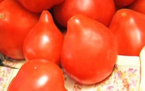 Cum arată roşiile pe care sub nicio formă să nu le cumperi