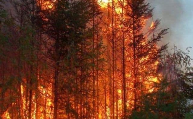Anunț de ultimă oră al oficialilor ucraineni despre incendiul de lângă Cernobâl