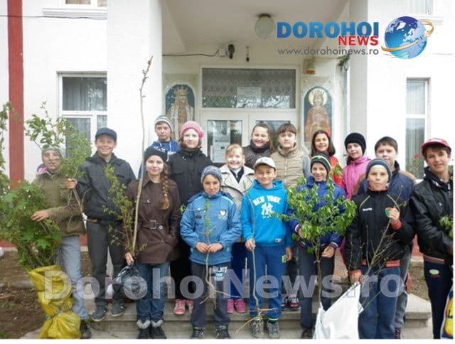 Acțiune de ecologizare: „Plantează un pom pentru viitorul verde al Ibăneștiului” - FOTO