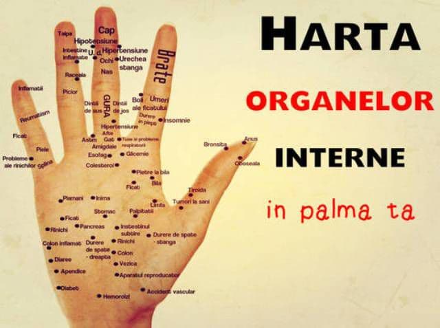 Harta mâinii tale. Unde să îți masezi palma ca să scapi de durere
