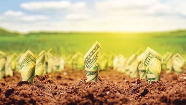 APIA: Agricultorii din sectorul ecologic pot depune cererile pentru ajutorul de minimis până pe 5 iulie inclusiv