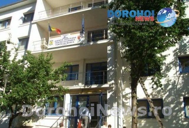 AJOFM Botosani: Conferinta de diseminare pe tema reintegrarii scolare, sociale și profesionale