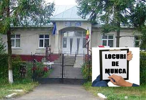 Primăria Broscăuți face angajări! Vezi ce posturi sunt disponibile