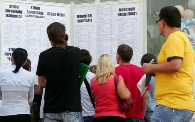 Deputaţii îi pun la muncă pe șomeri. Vor avea contract de muncă şi vechime