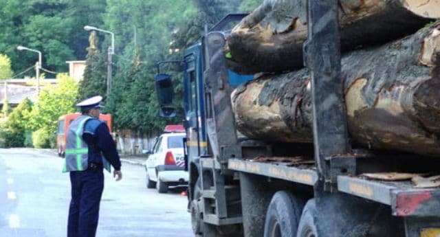 Material lemnos confiscat și amendă de 2.000 lei