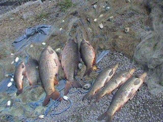 Braconaj cu plase monofilament de aproximativ 600 metri pătraţi depistat de polițiștii de frontieră