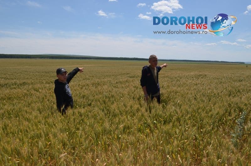 Doi cetăţeni din R. Moldova  opriţi din drumul spre Italia