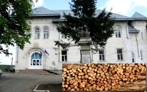 Liceul Teoretic „Anastasie Bașotă” organizează licitație de vânzare masă lemnoasă fasonată, specia gorun