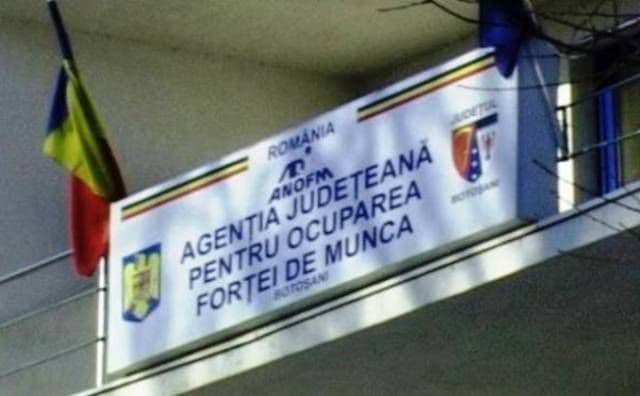 Comunicat de presă: Stadiul implementării proiectului IC SPO în care AJOFM Botoșani are calitatea de partener