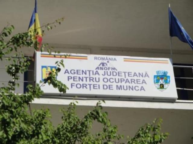 Peste două mii de persoane angajate în primele şase luni ale anului, prin intermediul AJOFM Botoşani