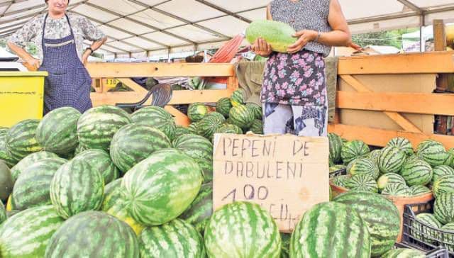 Cum încearcă comercianţii să vândă pepeni de Dăbuleni falşi. Primarul din Dăbuleni face dezvăluiri