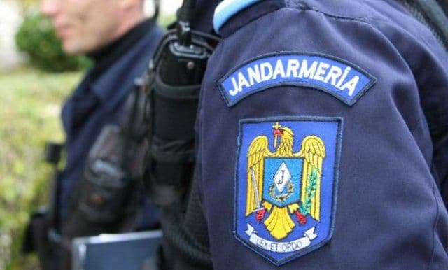 Material lemnos confiscat de jandarmii botoșaneni