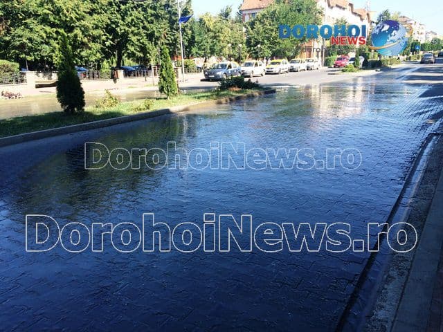 Ne-au invadat dejecțiile: Peisaj dezolant și miros insuportabil pe Bulevardul Victoriei din Dorohoi - FOTO