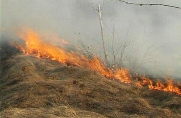 Peste 20 de pompieri mobilizați pentru stingerea unor focuri scăpate de sub control
