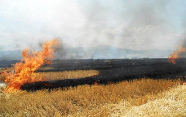 Peste opt hectare și două tone de furaje mistuite de flăcări