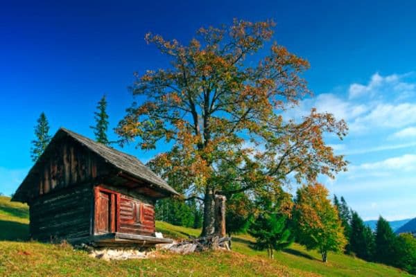 Europarlamentarul Claudia Țapardel a lansat campania online VacantainRomania