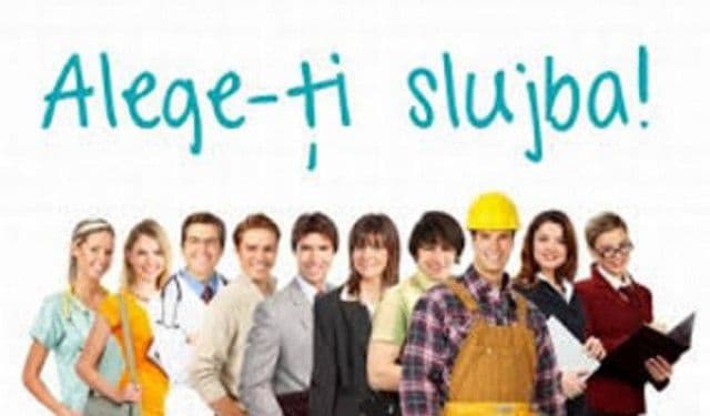 Sute de locuri de muncă vacante în județul Botoșani. Vezi oferta pentru Dorohoi
