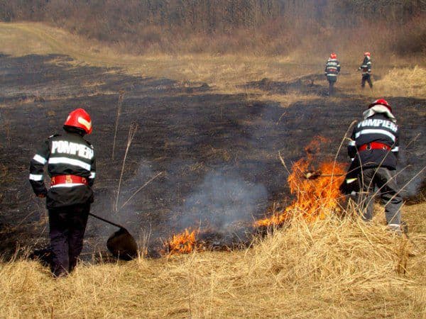Verdict în cazul incendiului de la Viișoara în care au fost mistuite de flăcări 30 hectare de stufăriș și fâneață