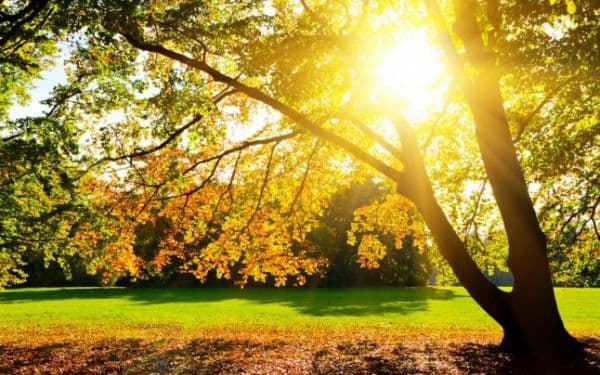 Vremea începe să se încălzească. Temperaturile urcă săptămâna aceasta la 30 de grade