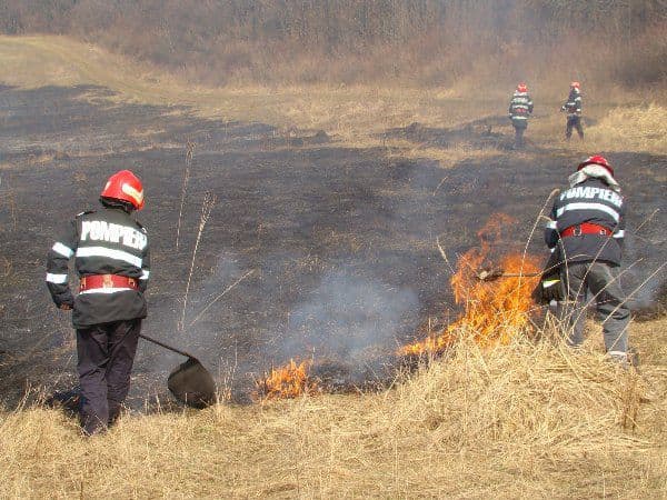 Zece tone de furaje distruse într-un incendiu din comuna Vorniceni