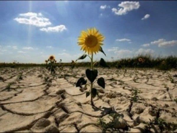 Plan nou de măsuri pentru diminuarea efectelor secetei pe teritoriul judeţului Botoşani