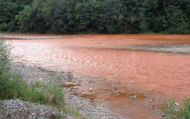 Dezastru ecologic pe râul Bistrița. Un milion de litri de substanțe toxice s-au scurs în apă