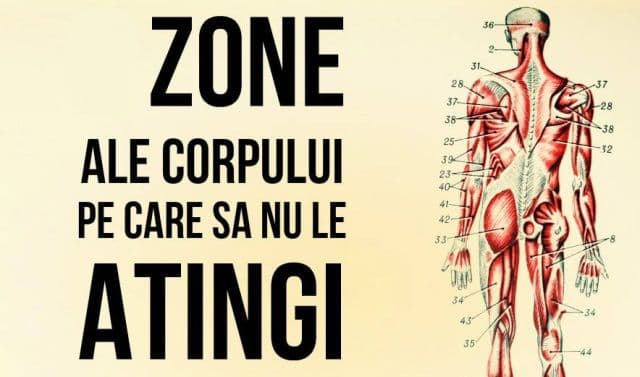 Şapte părţi ale corpului pe care NU trebuie să le atingi