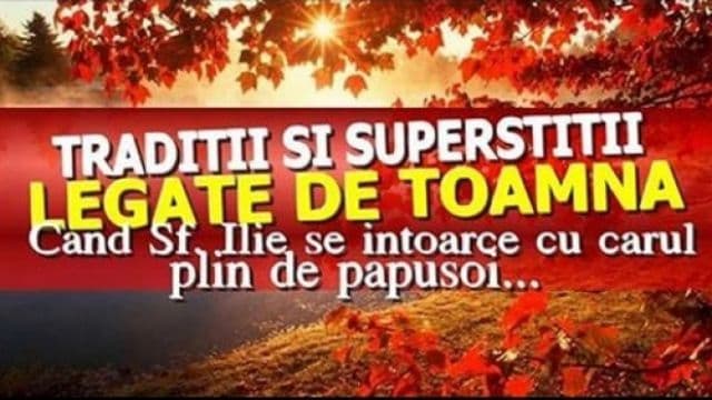 Superstiţii şi tradiţii legate de toamnă: Ce se întâmplă dacă păsările zboară lin