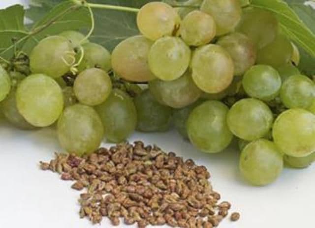 Strugurii, dușmanii celulelor canceroase