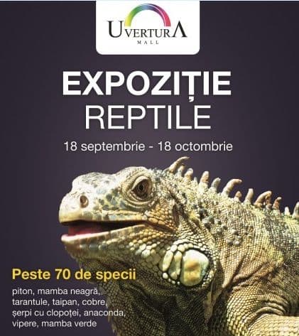 Expoziție de reptile vii la Uvertura Mall
