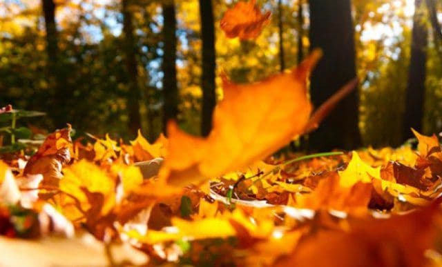 Prima temperatură negativă a toamnei, în România. Diferenţă de 34 de grade faţă de săptămâna trecută