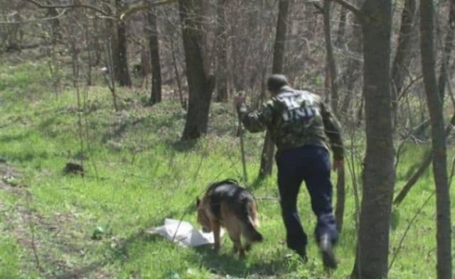 Alertă maximă după ce o copilă de doi ani şi jumătate din comuna Lozna a dispărut în pădure