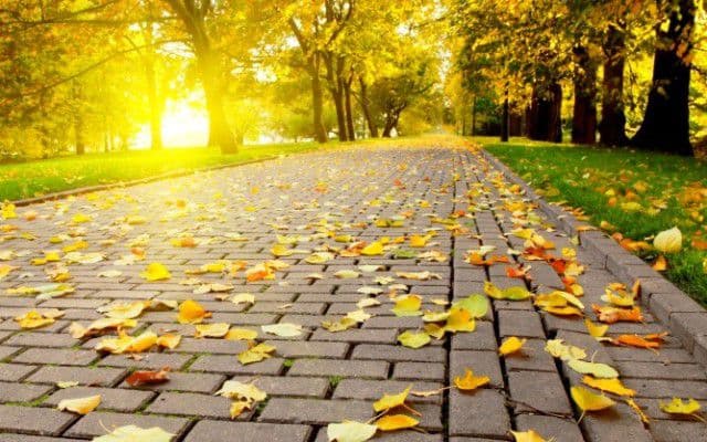 Tradiţii şi credinţe legate de prima zi de toamnă adevărată – 23 septembrie