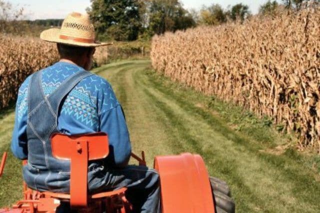 G.A.L. Codrii Herței: Măsura 121 „Modernizarea exploatațiilor agricole”