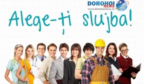 Peste 550 de locuri de muncă anunțate în această săptămână de AJOFM Botoșani