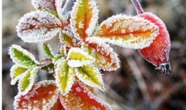 Val de aer polar peste România. Vremea se schimbă radical, se anunţă lapoviţă şi ninsoare