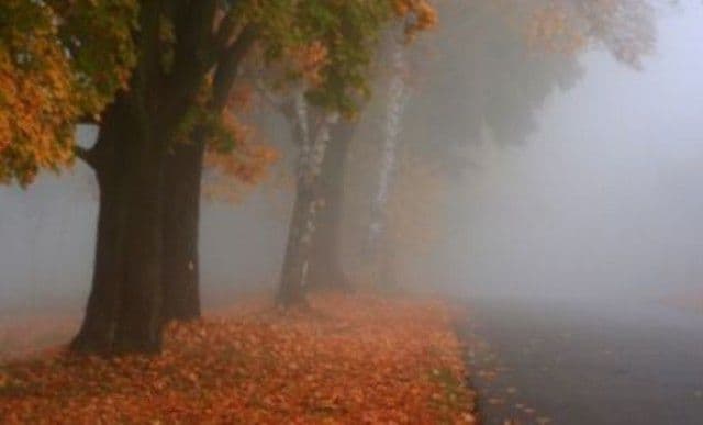 Vremea la final de săptămână: apar ploile şi ceaţa. Prognoza meteo pentru două zile
