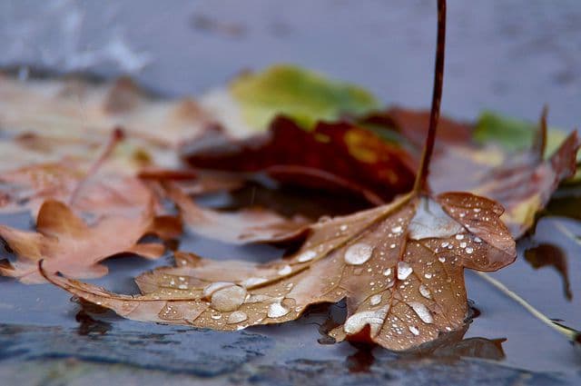Vremea schimbă foaia! Anunţ de ultimă oră de la meteo. Săptămâna începe în forţă!