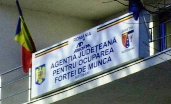 Peste 300 de persoane din Dorohoi, aflate în căutarea unui loc de muncă sunt înregistrate în evidenţele AJOFM Botoșani