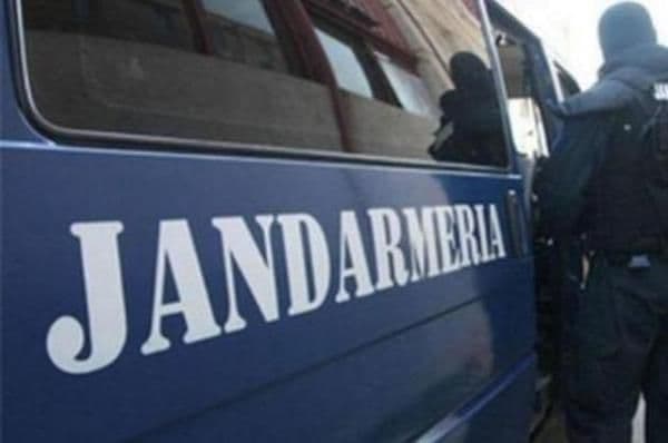 Bărbat sancționat de jandarmii botoșăneni pentru furt de produse agricole