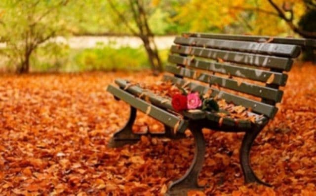 Prognoza meteo pentru două săptămâni: vremea se va răci între 2-15 noiembrie. Singura veste bună
