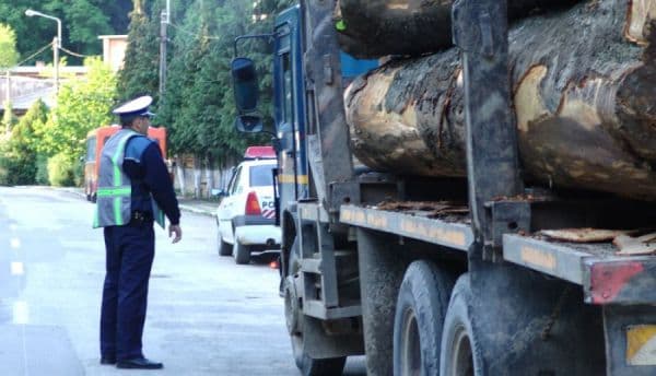 Ghinion pentru un botoșănean! S-a ales cu amendă și materialul lemnos confiscat!
