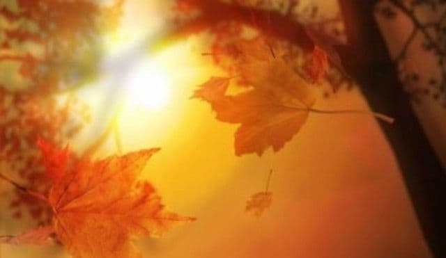 Vreme plină de surprize. Prognoza meteo pe trei zile