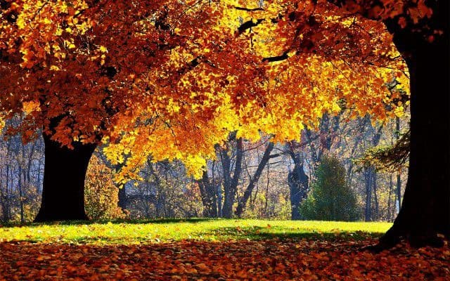 Prognoza meteo pentru joi, vineri și sâmbătă