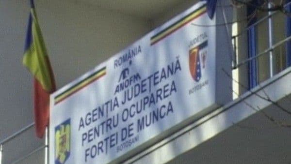 Nu ai un loc de muncă? AJOFM Botoșani oferă aproximativ 400 de locuri de muncă în Portugalia  
