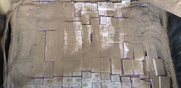  Peste 900 pachete de ţigări de contrabandă confiscate de polițiștii de frontieră. Vezi unde a încercat să le ascundă șoferul! - FOTO  