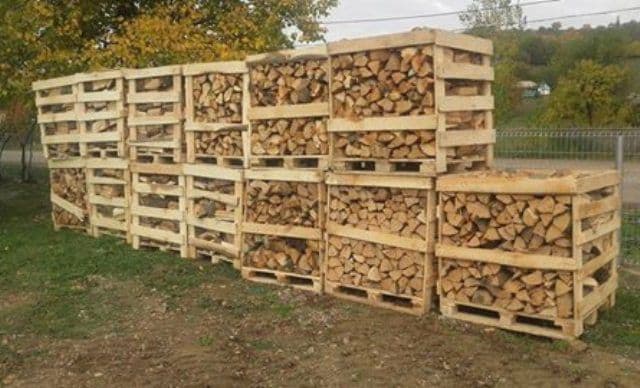 Cooperativa Socială „STEJARUL” organizează la Pomîrla - Eveniment de promovare a structurii de economie socială SES1